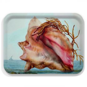 Conch Reverie Large Rectangular Birchwood Tray