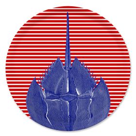 Horseshoe Crab Large Round Birchwood Tray
